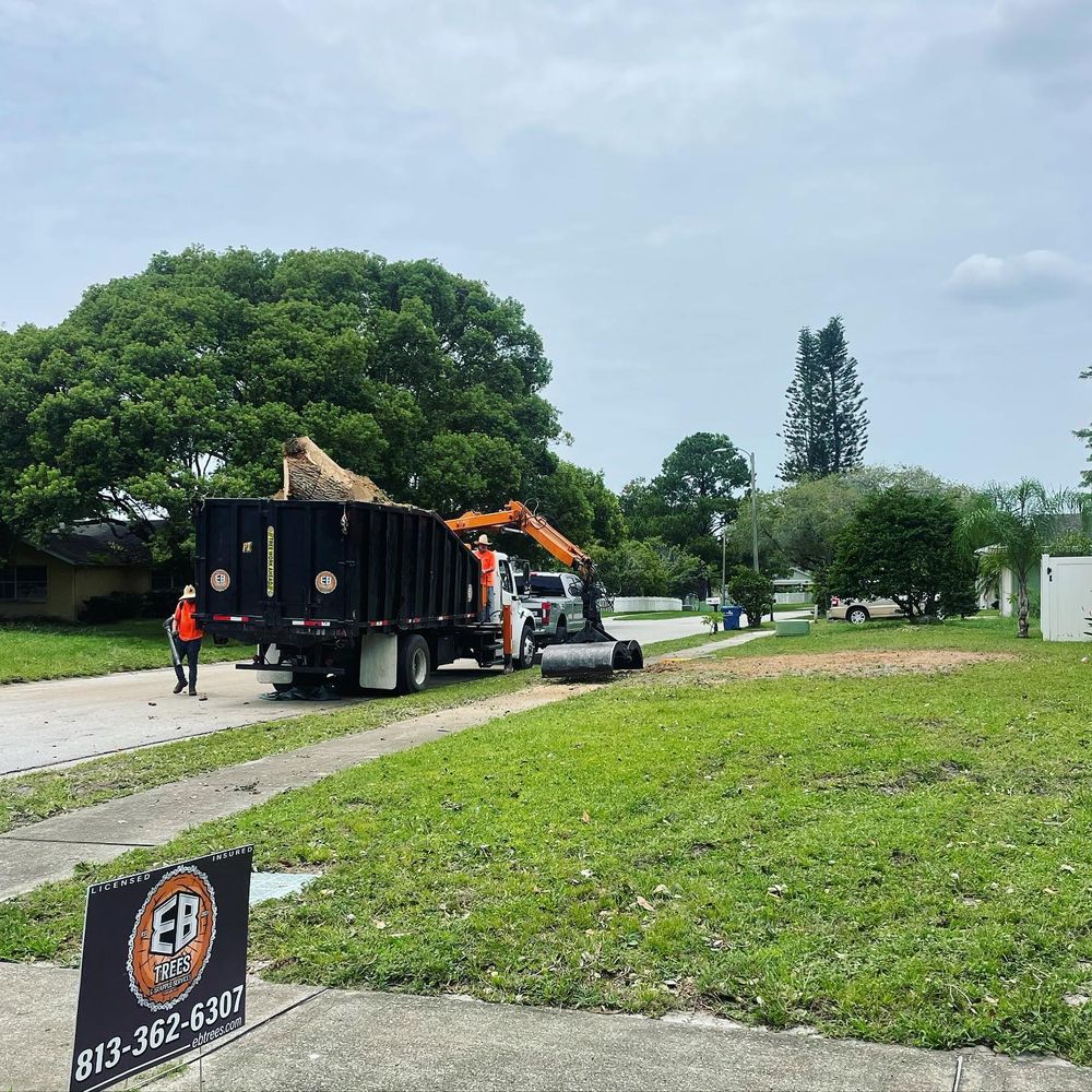 Enhance your outdoor space with our expert lawn maintenance services, ensuring healthy growth and vibrant lawns while strategically caring for privacy trees to create a serene, secluded atmosphere in your yard. for EB Trees and Landscape in Holiday, FL