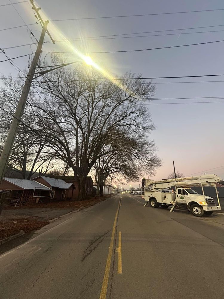 All Photos for Chipper's Tree Service  in Fort Payne, AL