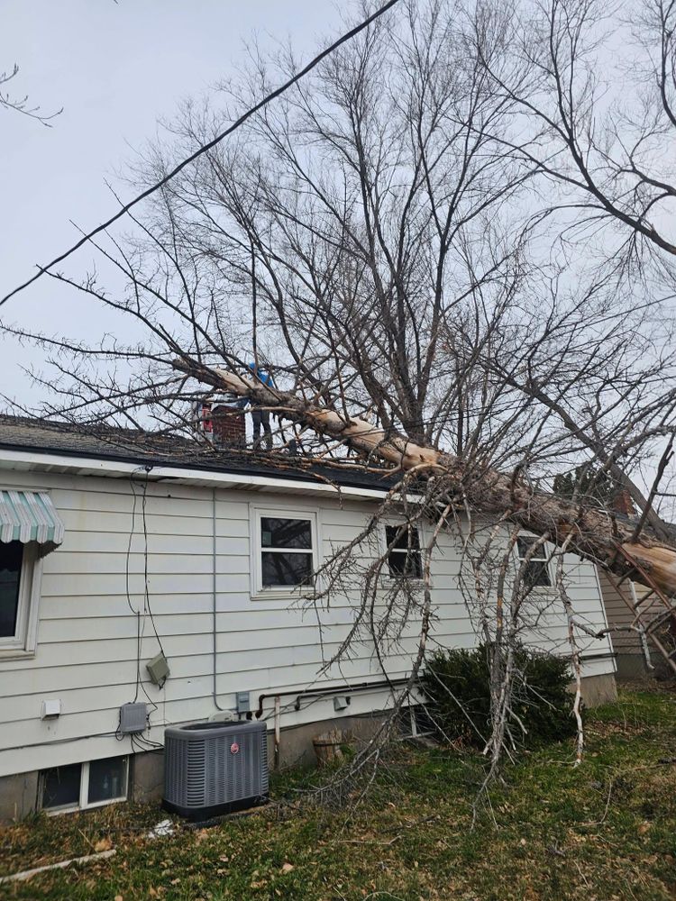 Tree Removal for Portneuf Valley Tree Service in Pocatello, ID