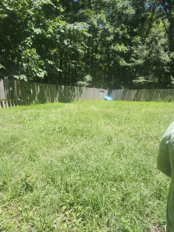 All Photos for Fresh Cut Yard & Lawn Care LLC in Forsyth, GA