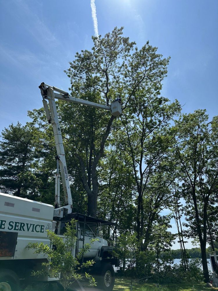 All Photos for Silver City Tree and Landscape in Taunton, MA