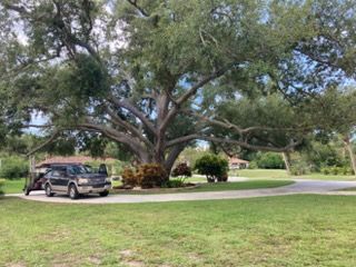 All Photos for Alpha Trees Service and Property Management in Port Charlotte, FL