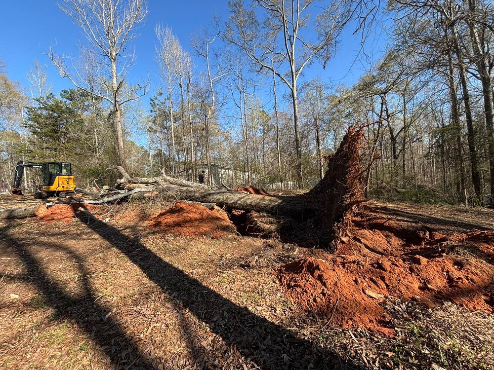 All Photos for O'Connor Clearing and Hauling LLC in Anderson County, SC