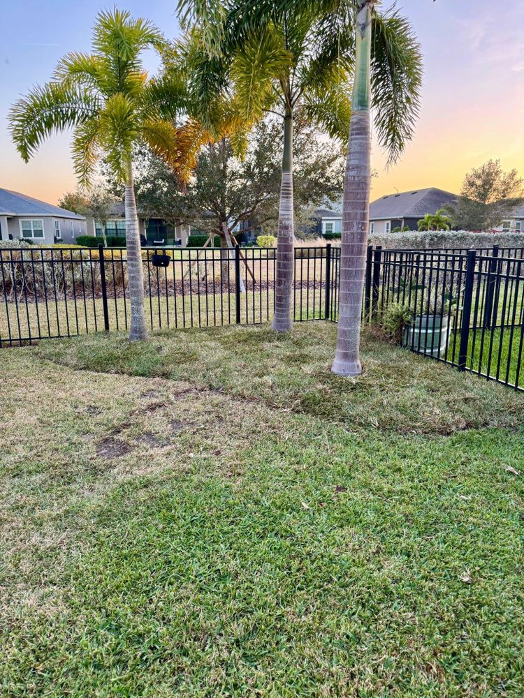 All Photos for Shoreside Property Services in Apollo Beach, FL