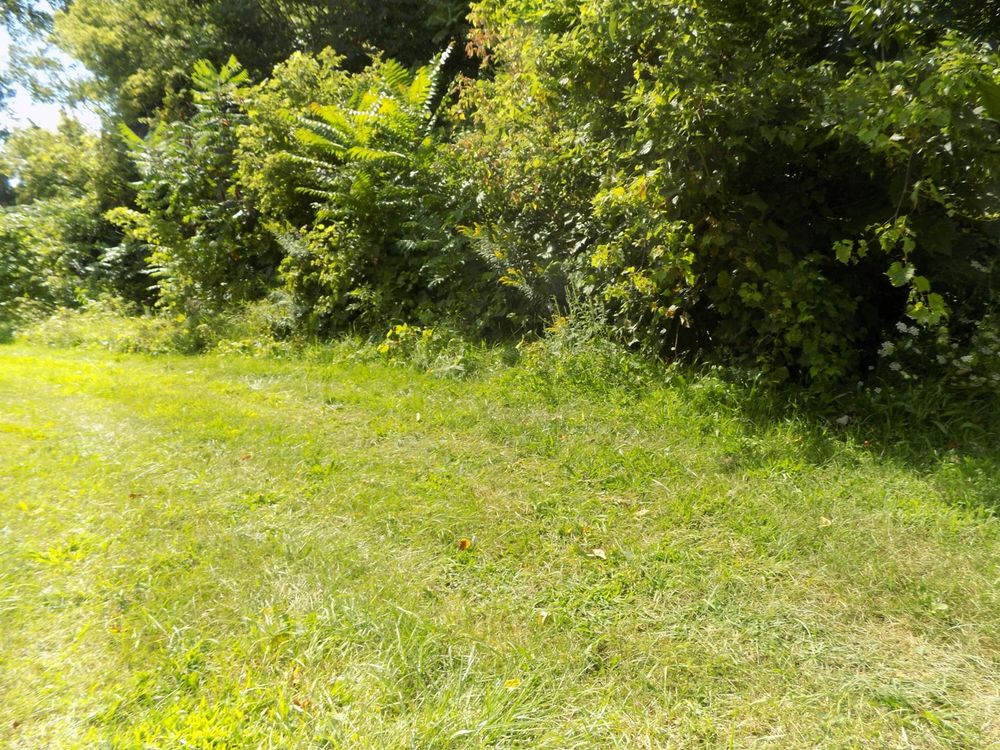 All Photos for Tala Real Estate in Coloma,  Michigan