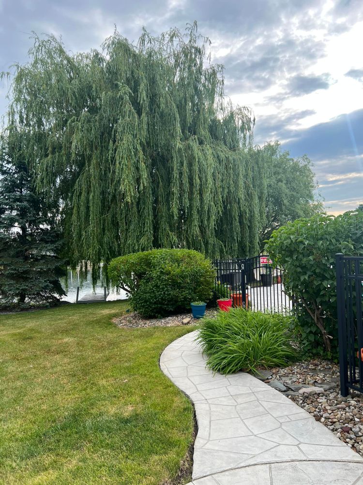Tree Removal for Down To Earth Tree Service, LLC in Olmsted Falls, OH