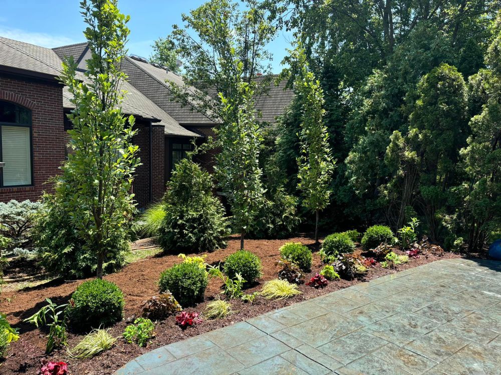 Revitalize your landscape with our expert shrub trimming service. Our team will shape and prune your shrubs to enhance their health and appearance, transforming your outdoor space into a beautiful oasis. for J & B Landscaping in St. Louis, MO