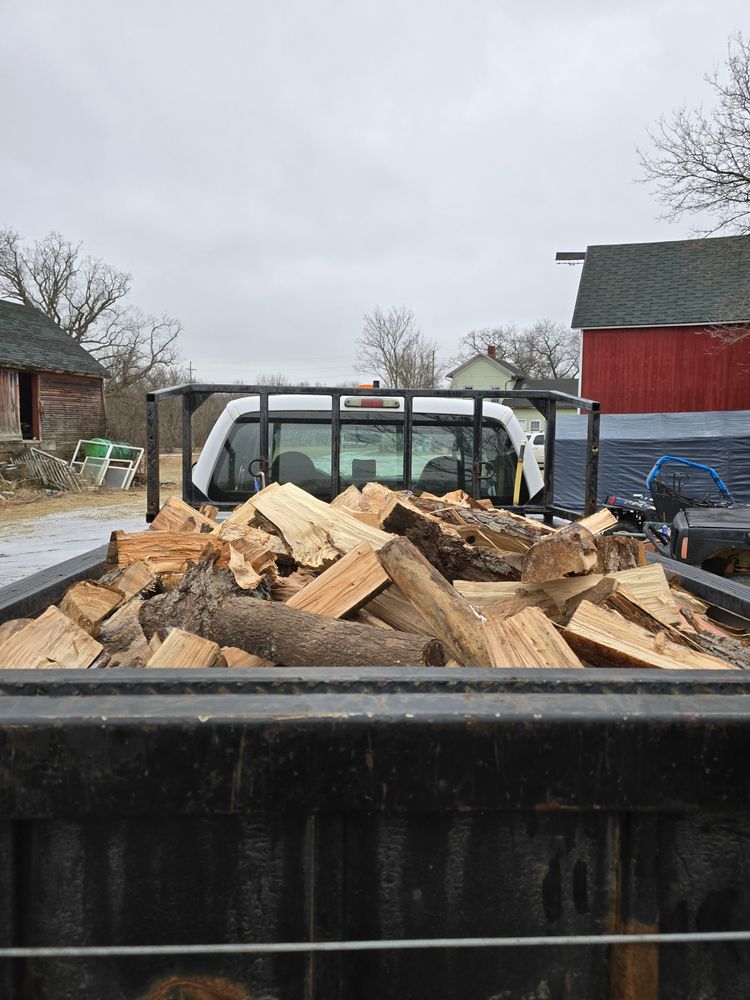 All Photos for D Hale Tree Service in Ann Arbor, MI