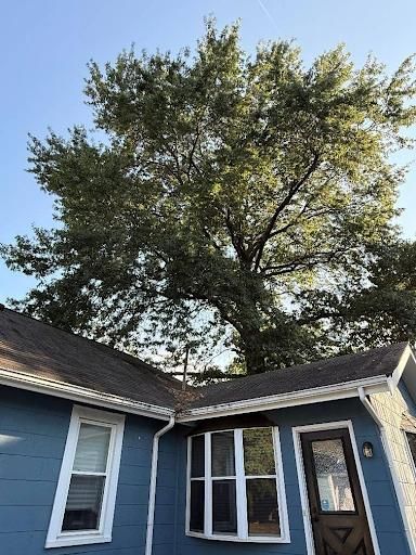 All Photos for Kingdom Tree Trimming and Removal LLC in Covington, KY