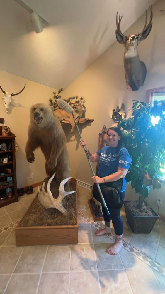 All Photos for Busy B's Professional Cleaning in Birch Run, MI