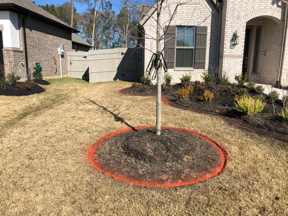 All Photos for Texas Curb N Borders in Houston, TX