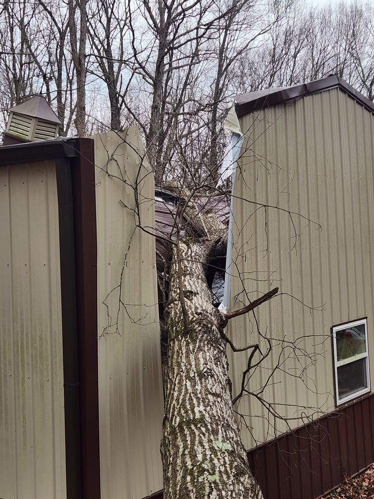 All Photos for Tree Fellers in Sumner County, TN