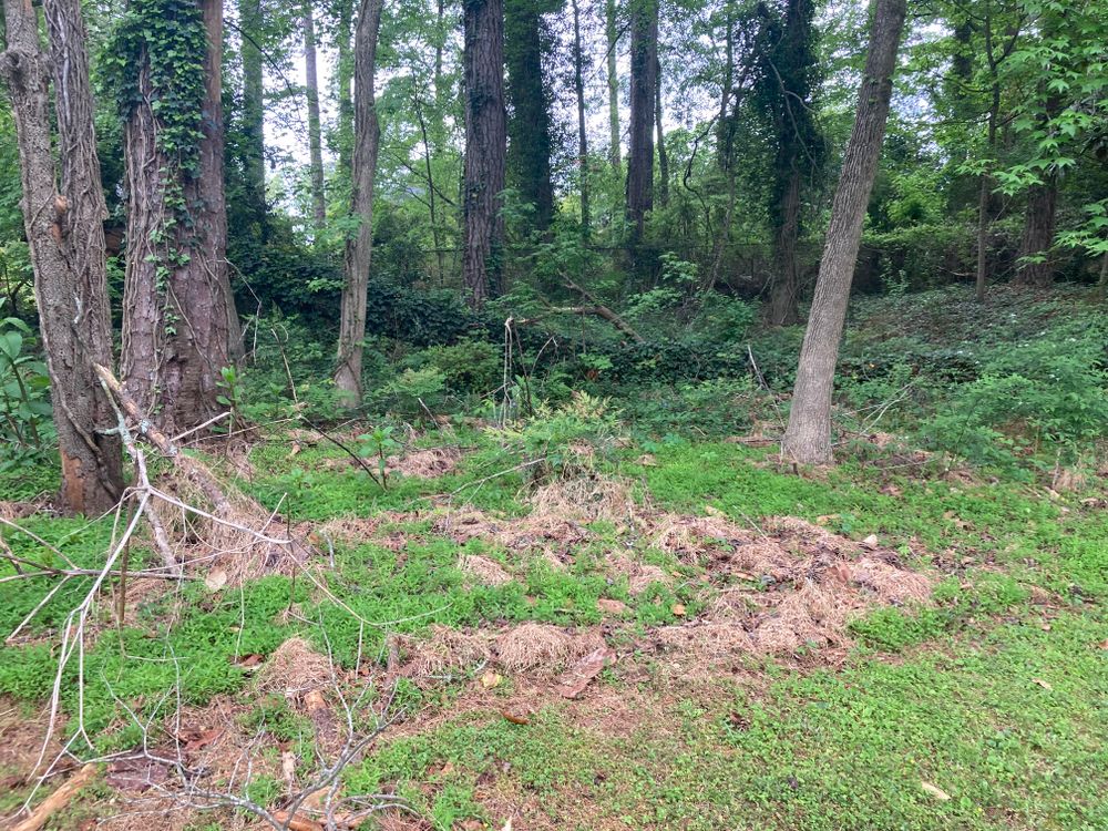 All Photos for Aries Lawnscapes in Atlanta, GA