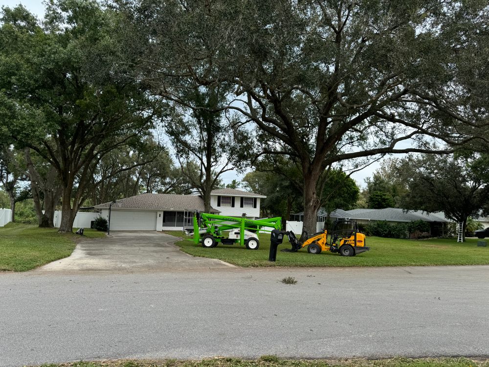 All Photos for Duck's Lawn & Tree Service, LLC. in Lakeland, FL