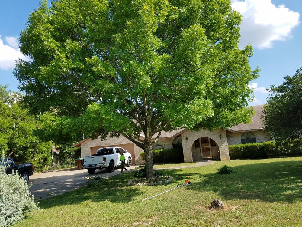 All Photos for 210 Tree Care in San Antonio, TX