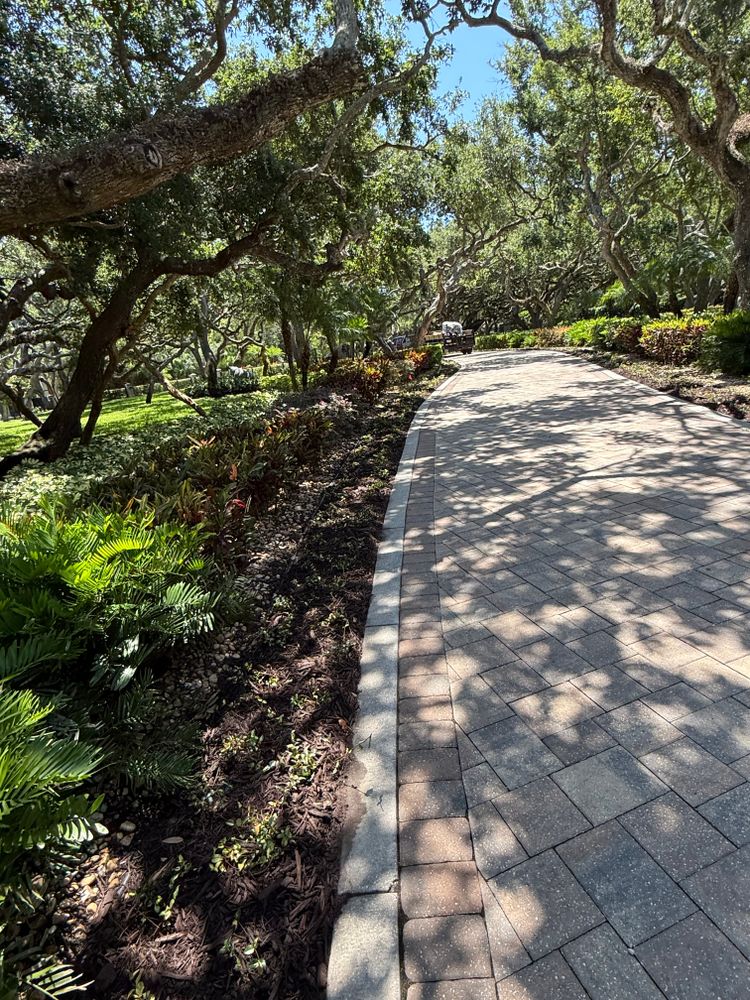 All Photos for Vanic's Landscaping in South Daytona, FL