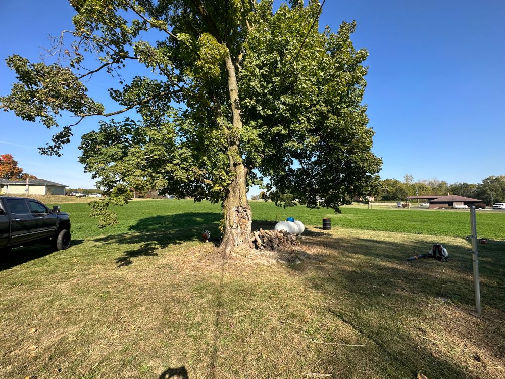 All Photos for FIRST CLASS GRASS LLC in Syracuse, IN