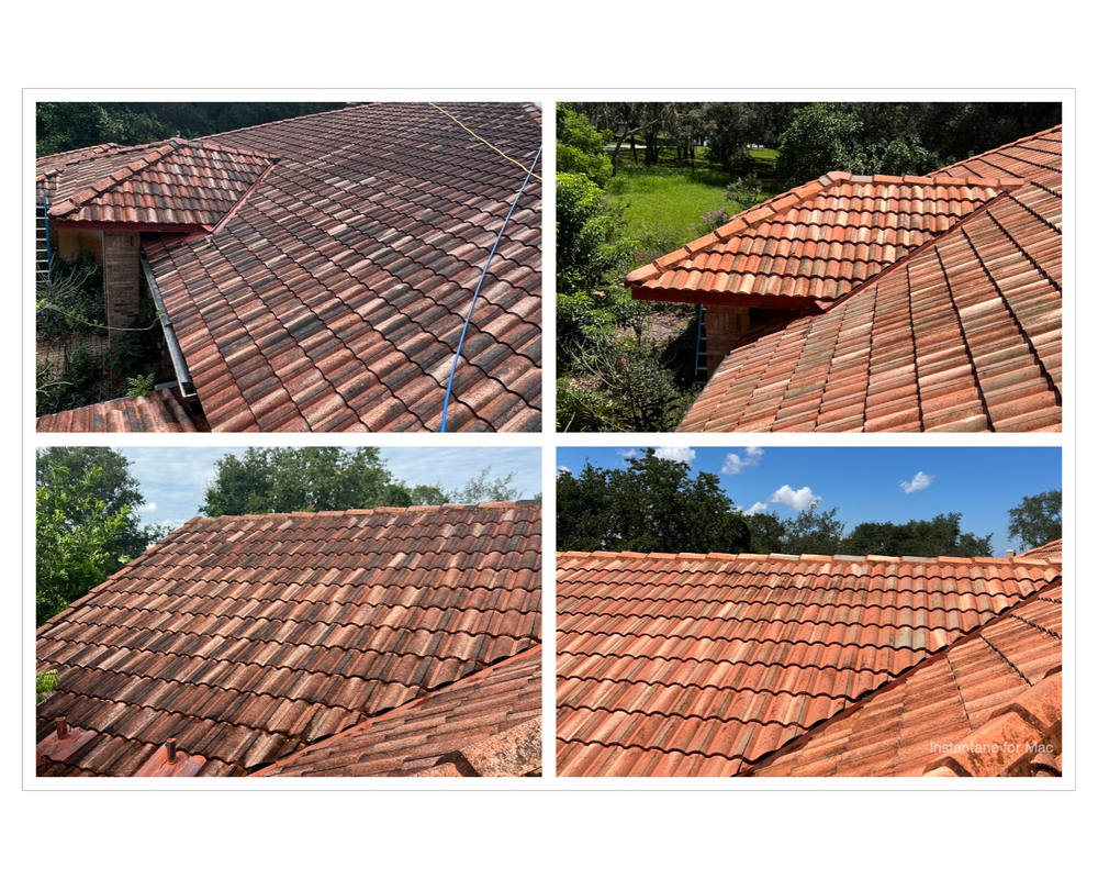 Roof Cleaning for Pressure Washing Warrior LLC in Ocoee, FL