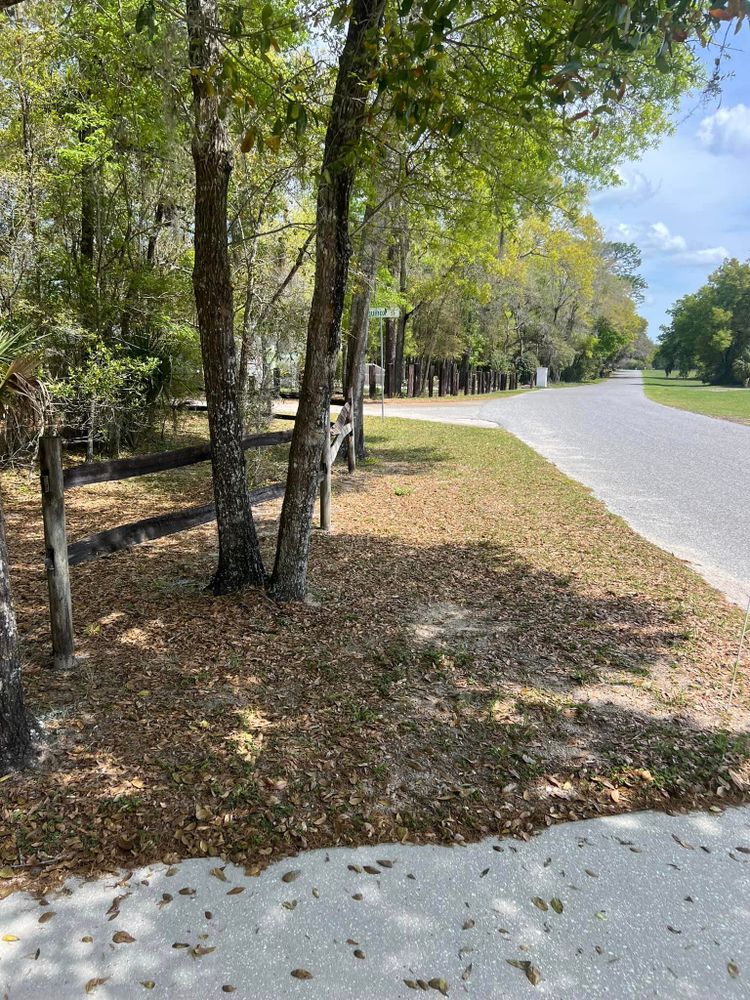 Land Clearing for Vaughn’s Outdoor Services  in Orlando, FL