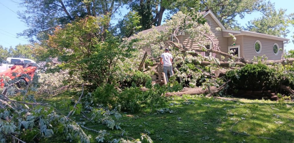 All Photos for Lawn Ranger Yard And Tree Service LLC in Ottumwa, IA