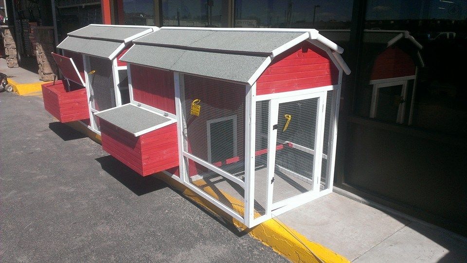 Custom Critter Proof Chicken Coop for J & S Handyman Services in Aumsville, OR