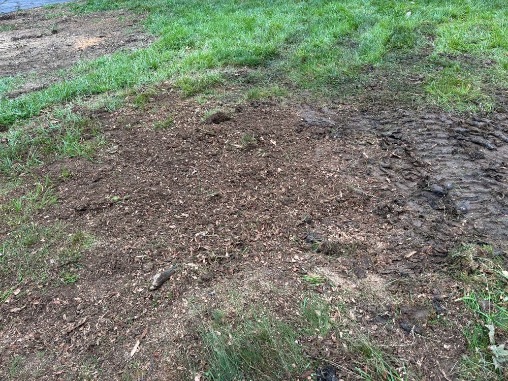 All Photos for Conrad's Stump Removal in Columbus, IN