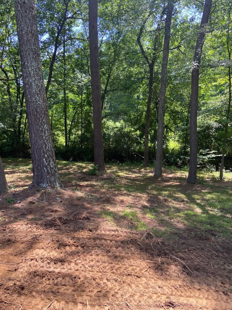 Our Forestry Mulching service efficiently clears overgrown land by shredding vegetation into mulch, enhancing soil health and promoting new growth while minimizing environmental disturbance. Perfect for creating usable space on your property. for Upchurch Property Management in Vass, NC