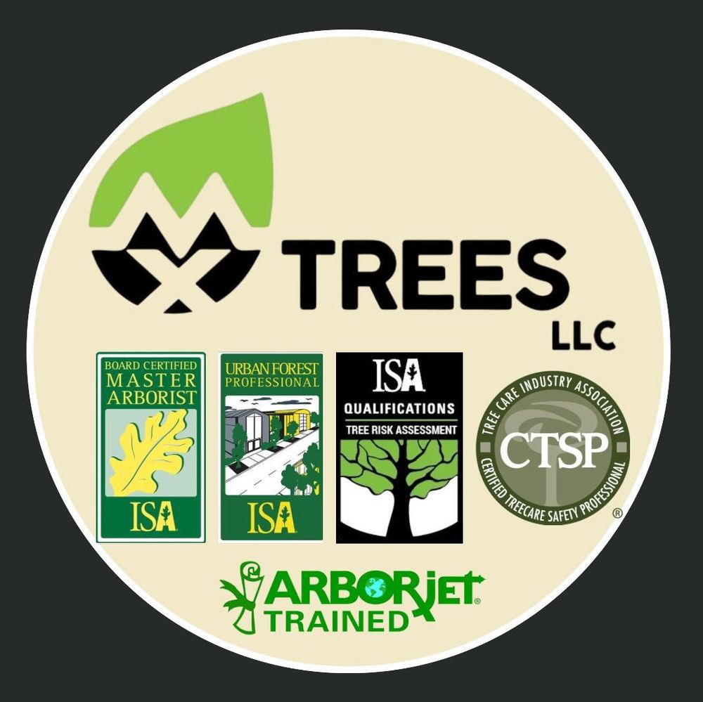 All Photos for MX Trees in Englewood, FL