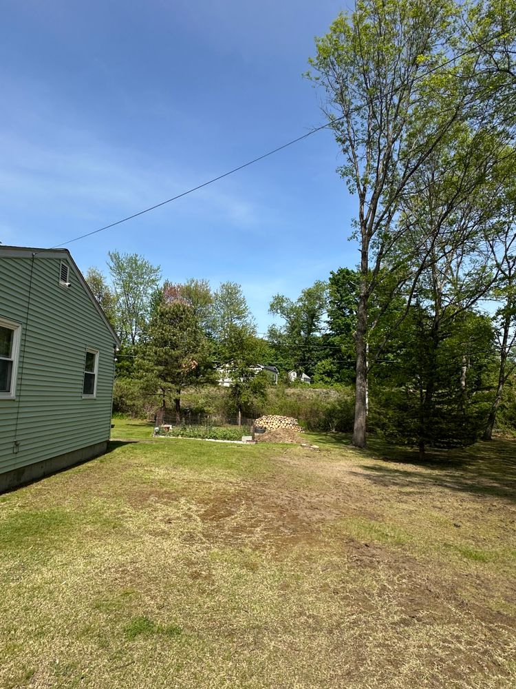 All Photos for Leaf and Limb in Townsend, MA