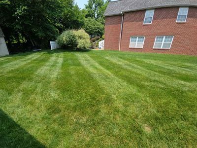 Lawn Maintenance Service for The Grass Guys CLC, LLC. in Evansville, IN
