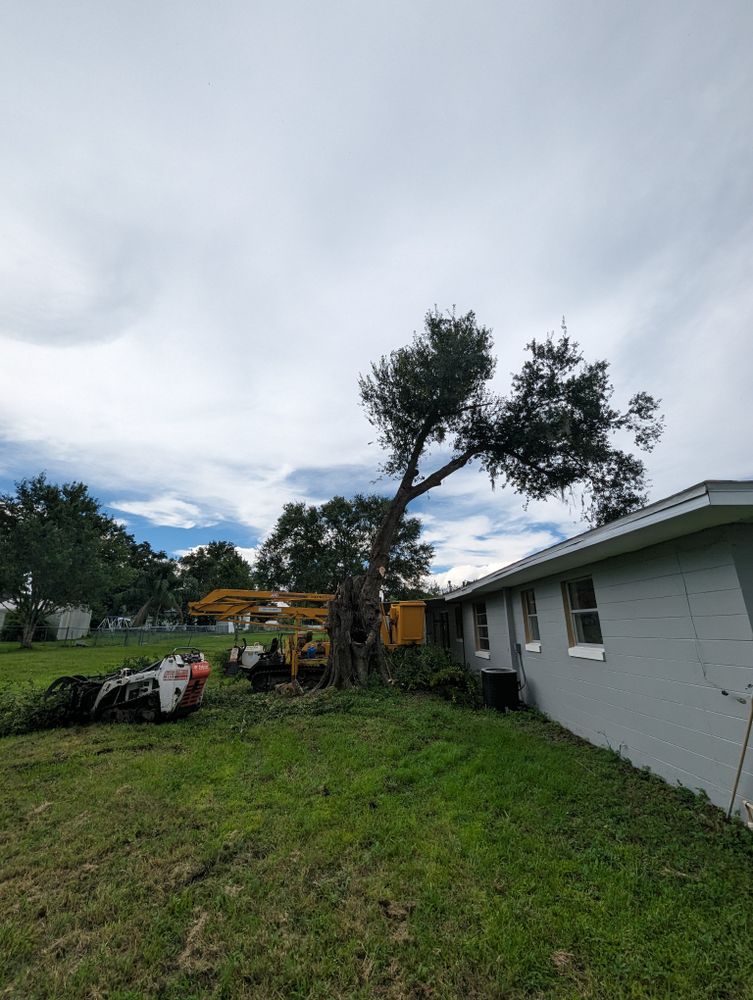 All Photos for Regal Tree Service and Stump Grinding in Wauchula, FL