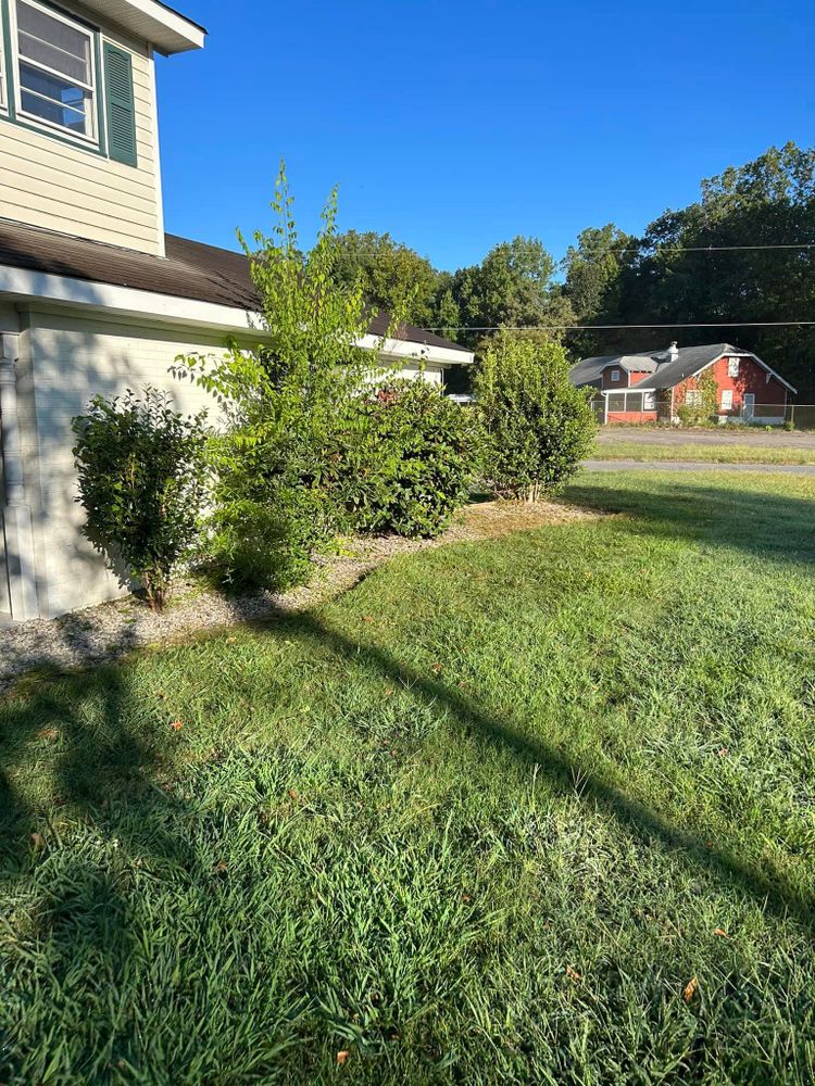 Lawn Care for Absolute Lawn Solutions LLC in Sutherland, VA