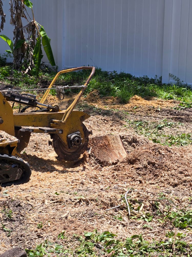 All Photos for Near Me Tree Service, Inc. in DeLand, FL