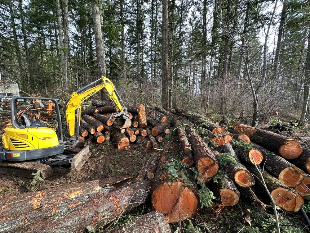 Residential & Commercial Excavation for 56 West Construction in Placerville, CA