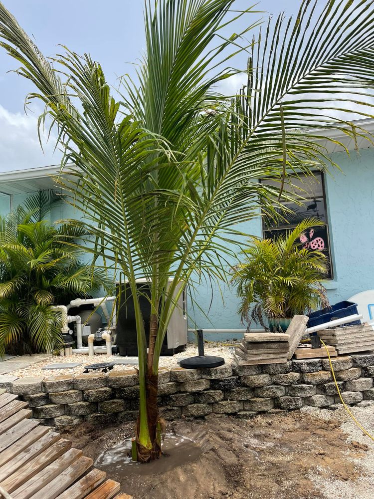 Landscaping for Plant World LLC in Cape Coral, FL