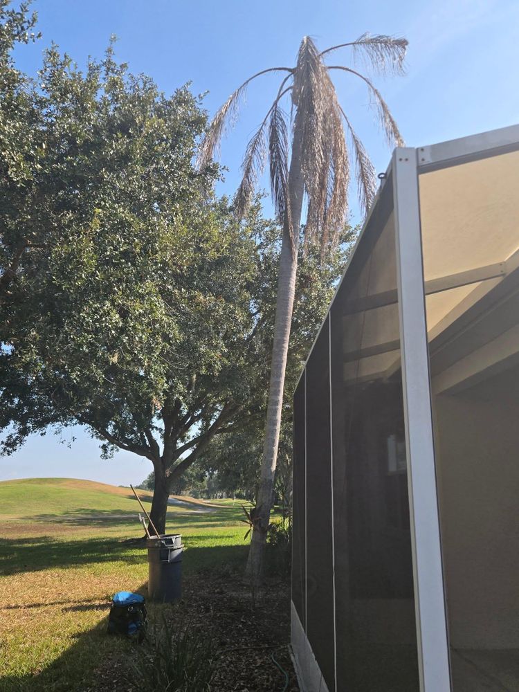 All Photos for TREE BOYS in Ruskin, FL