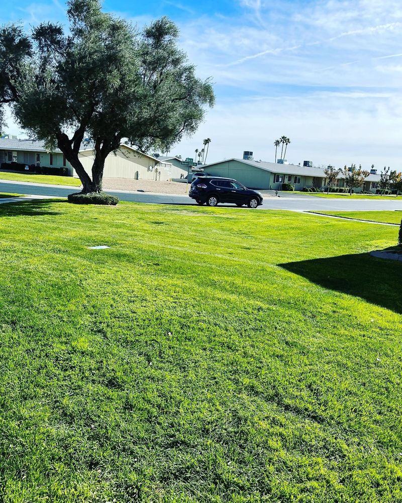 Lawn maintenance for American Dream Landscape Company in Surprise, AZ