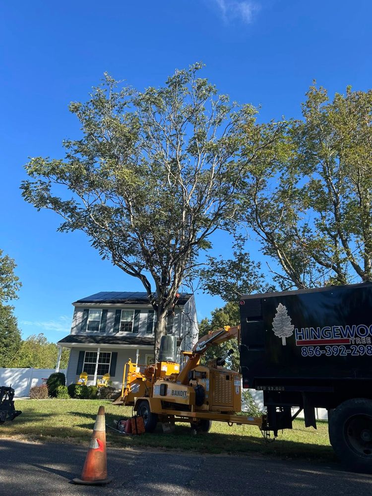 Other Services for Hingewood Tree Service in Salem, NJ