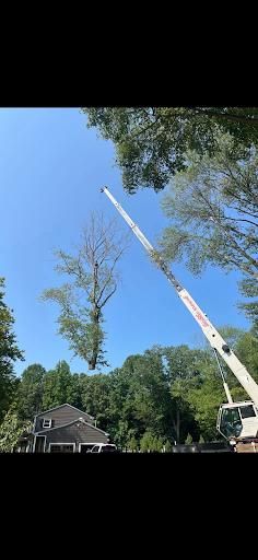 All Photos for Melnyk’s Tree Service in Salem County, NJ