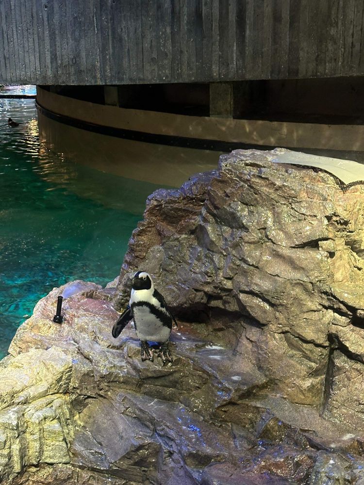 All Photos for Gallagher's Plastering in Covington, KY