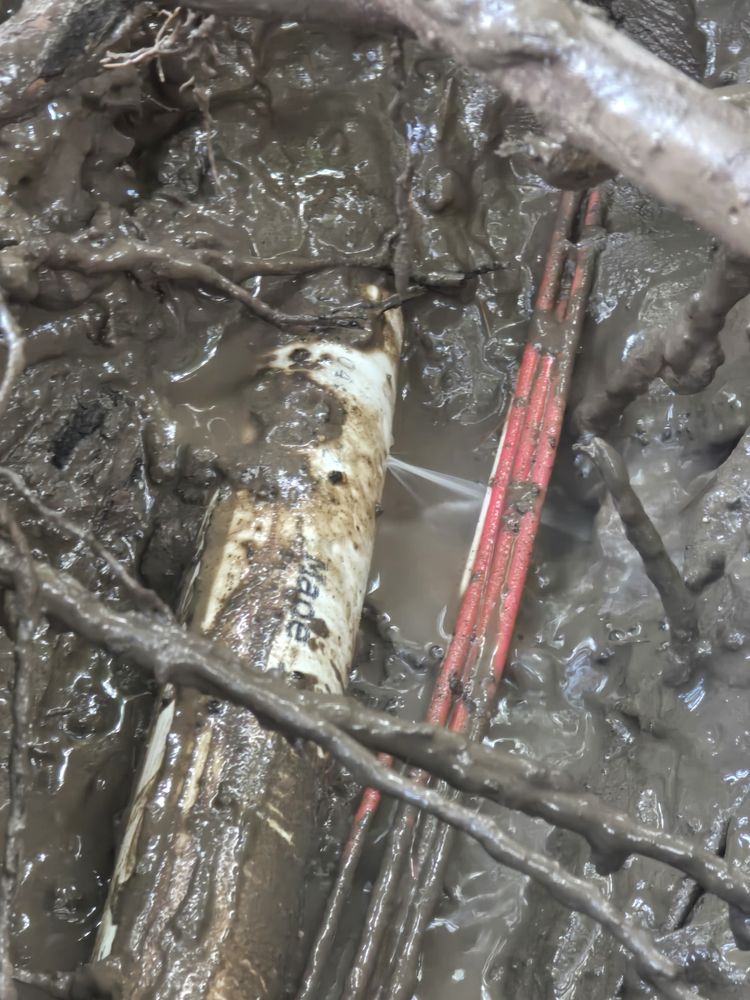 All Photos for Green Pastures Lawn Care in Bastrop, TX