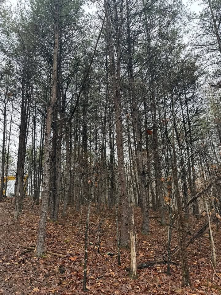 All Photos for Hunt’s Hauling & Landworks LLC in Danville, VA