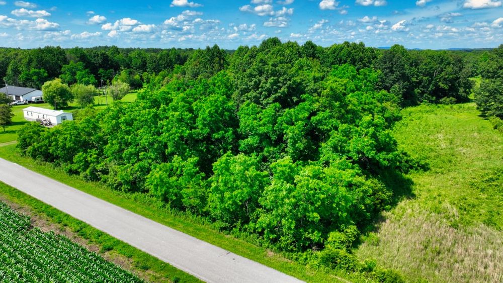 All Photos for JC Land Clearing in Shelbyville, TN