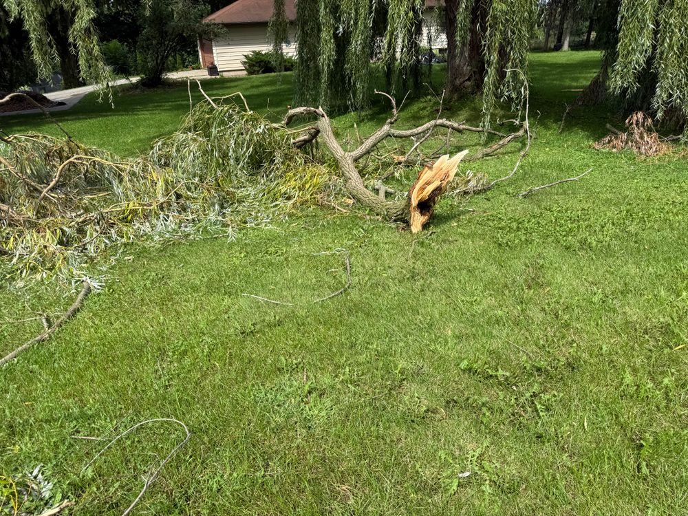 All Photos for Perfect Lawn Solutions LLC in Marshall, WI