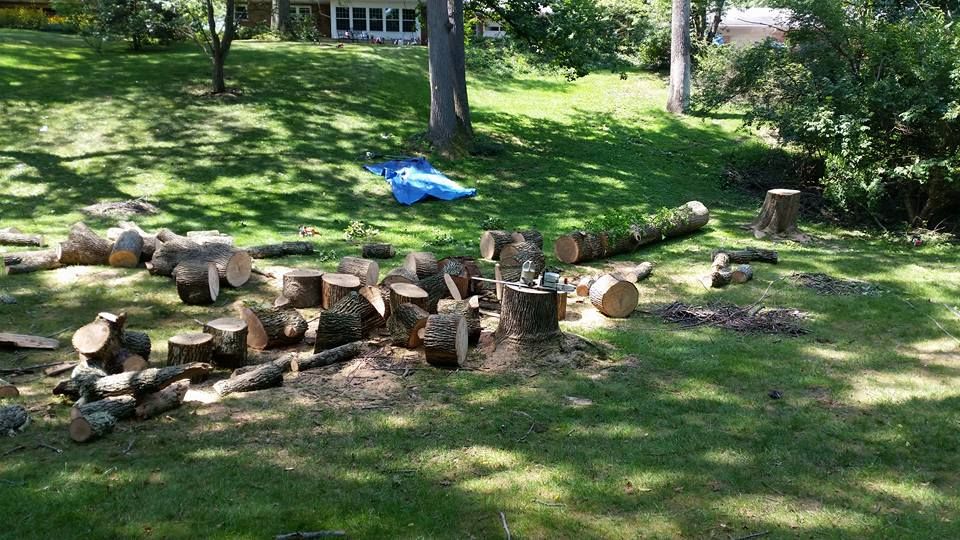 Our Tree Removal service ensures safe, efficient removal of unwanted or hazardous trees, enhancing your landscape’s beauty and safety while utilizing the latest equipment for minimal disruption to your property. for Ryt's Landscaping LLC in Cincinnati, OH