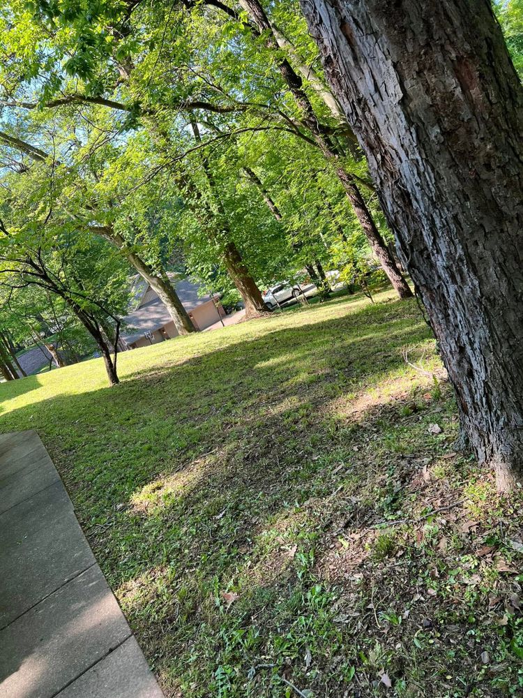 Landscaping for New Outlook Lawncare in Henderson County, KY