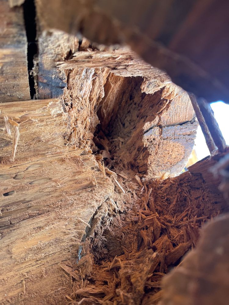 All Photos for Wild West Log home specialists in Corvallis, MT