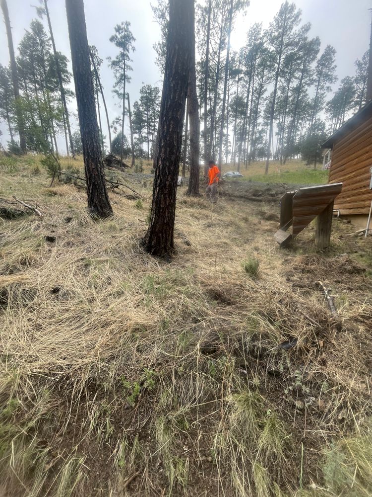 All Photos for G&B Yard Service in Ruidoso Downs, NM