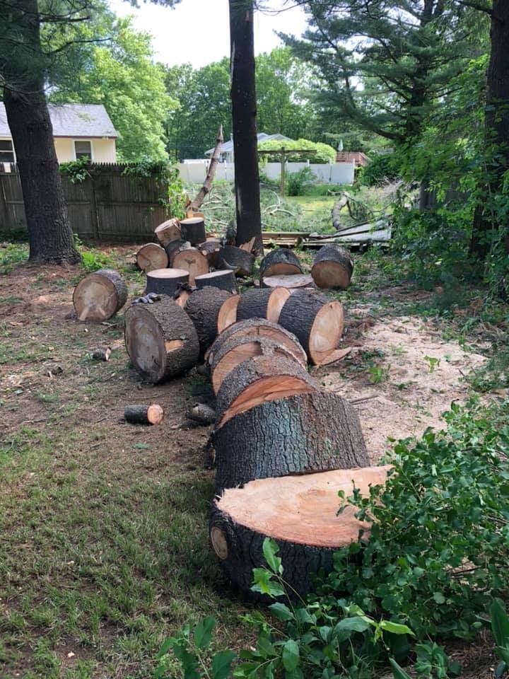 All Photos for Staruk Trucking & Excavation Inc. in Uxbridge, MA