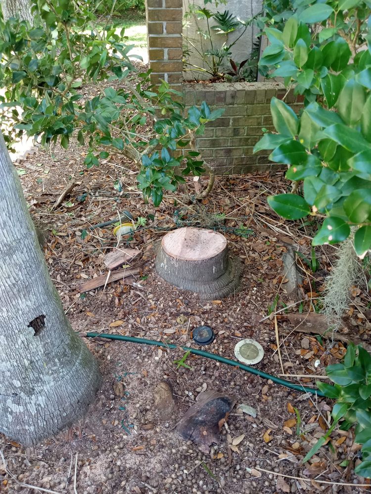 Our tree removal service ensures safe and efficient extraction of unwanted or hazardous trees, protecting your property while maintaining a beautiful landscape. Trust our experts for reliable and professional tree removal solutions. for A Southern Style Tree Service in Orlando, FL